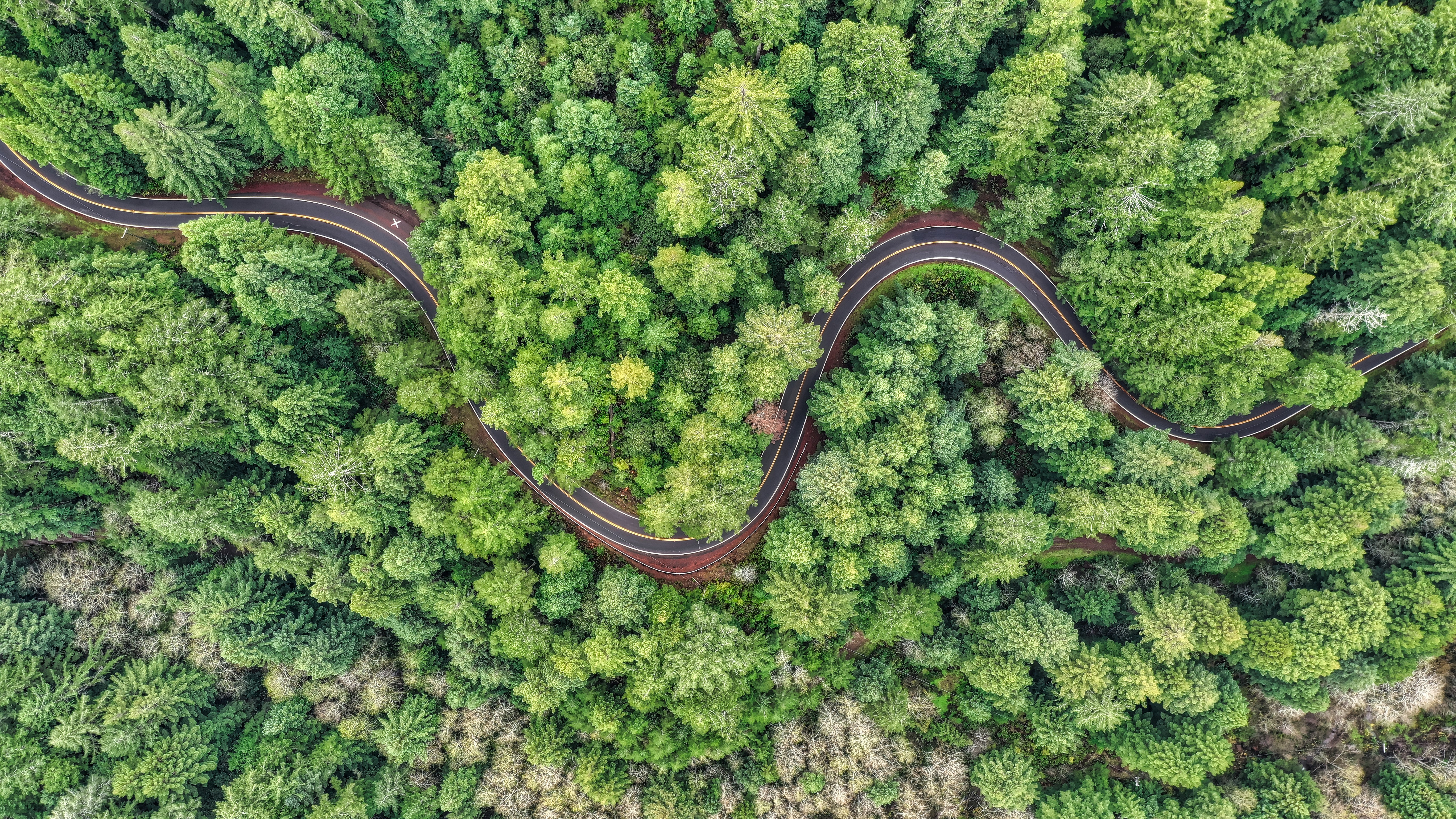 Kreislaufwirtschaft braucht Zusammenarbeit: Kooperationsprojekt von Klimaschutz-Unternehmen und Universität Kassel zieht Bilanz
